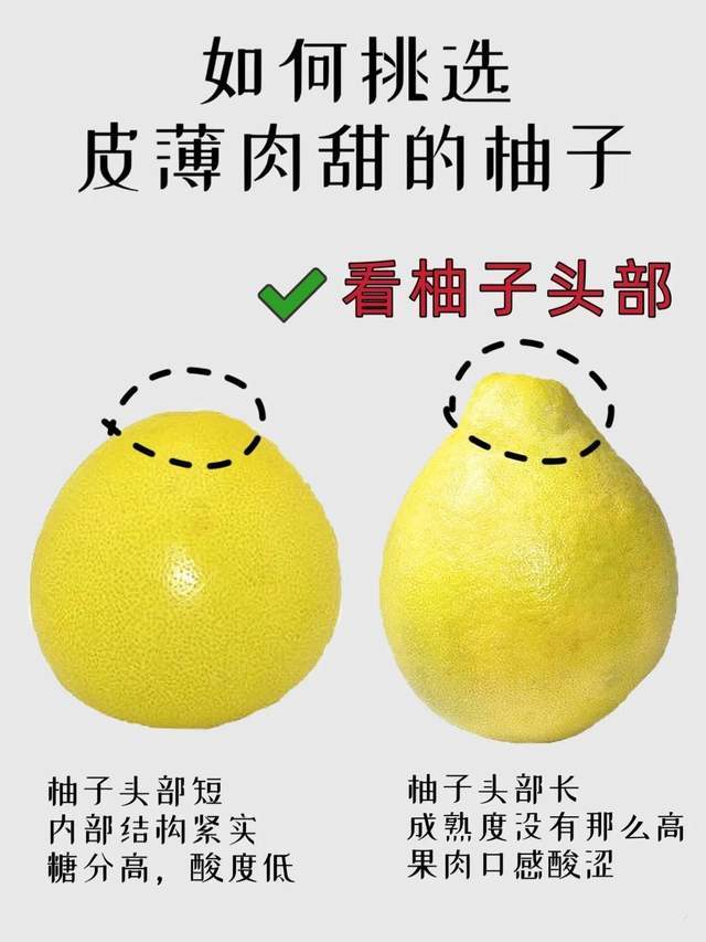 柚子头部越短,说明它的内部结构越紧实,柚子成熟度高糖分高酸度低