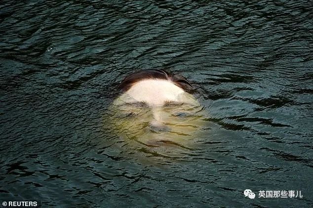 西班牙河面浮现"溺水少女人头",居民一早被吓惨!然而这背后