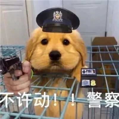 沙雕表情包狗都不想工作