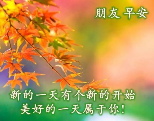 秋天漂亮的早安问候祝福语图片清晨祝福语暖心句子送给朋友