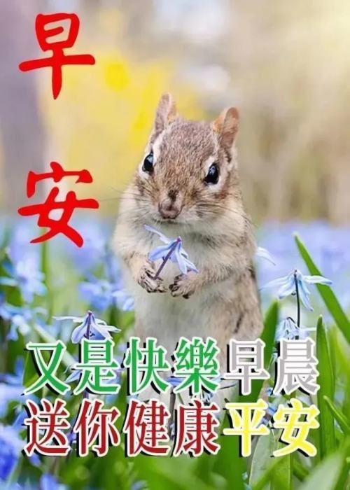 秋天漂亮的早安问候祝福语图片清晨祝福语暖心句子送给朋友