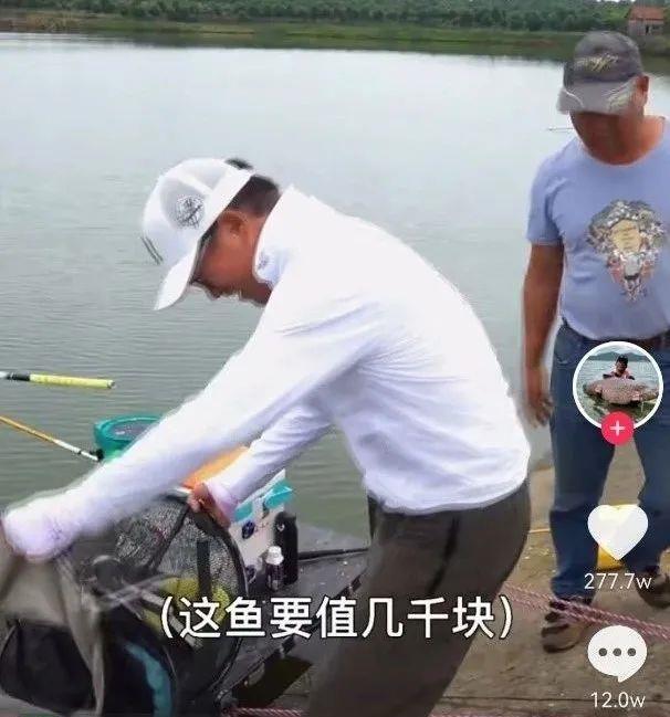 我在抖音上看到了中年男人钓鱼的真相