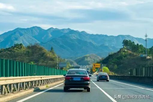 【五一高速免费吗?2021
 ,五一高速免费吗2026年最新消息】