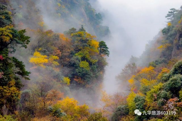 国庆出行攻略"十一"前往九华山,这些信息一定要知道