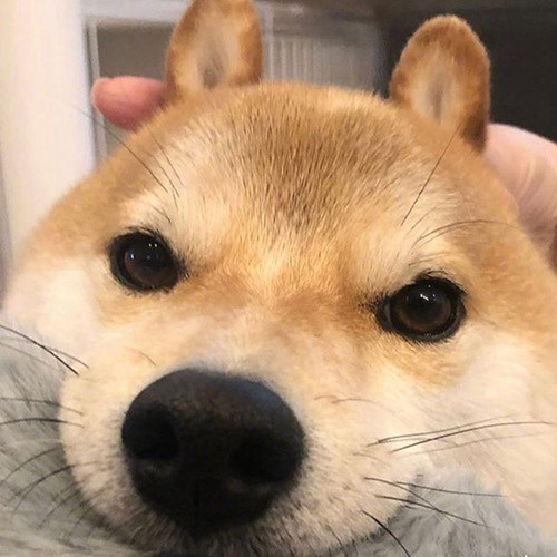 2021930今日主推qq头像微信头像