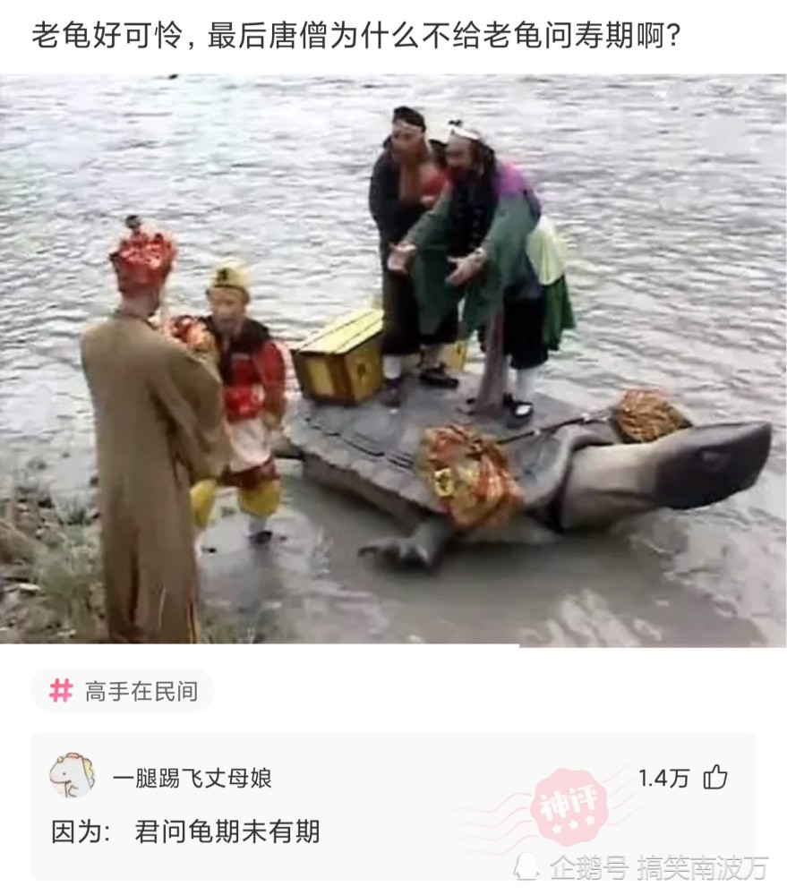 神回复老龟好可怜最后唐僧为什么不给老龟问寿期啊