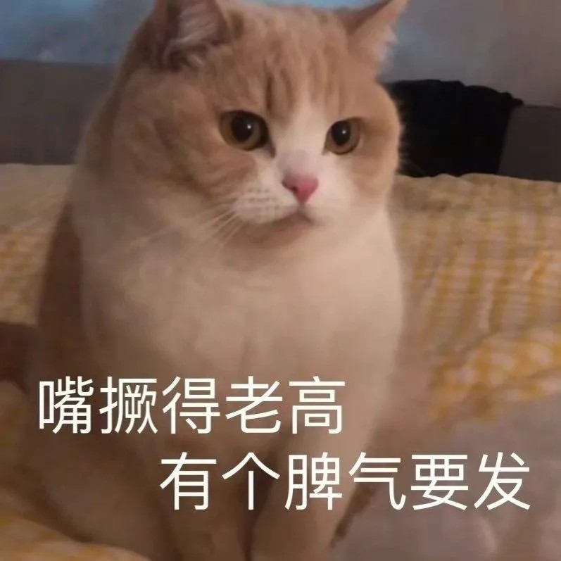 沙雕表情包"小猫咪能有什么坏心思呢"