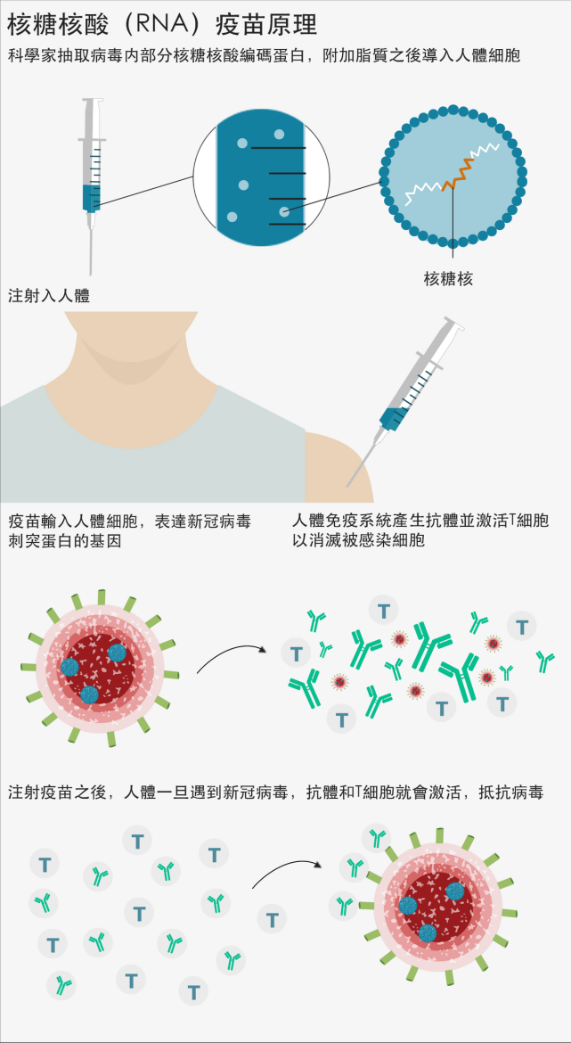 即使是最有名的,"德尔塔"和"拉姆达"却并不是唯二的变异种,病毒在传播