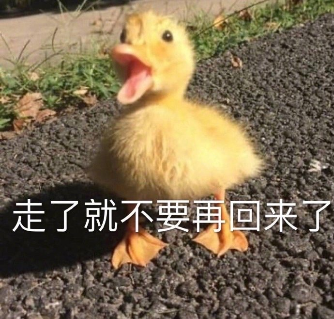 动物表情包|鸡听了只想赶快离开