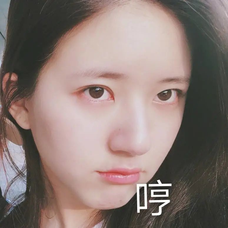表情包|赵露思沙雕系列