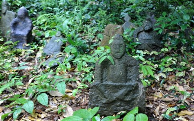 鬼崽岭有阴兵把守700多年没人敢上山专家闯入后发现奇迹