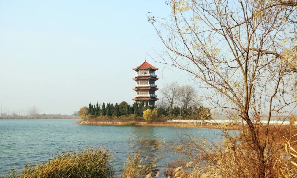皖北崛起,入驻安徽阜阳的6大世界500强制造业,对阜阳意味着什么