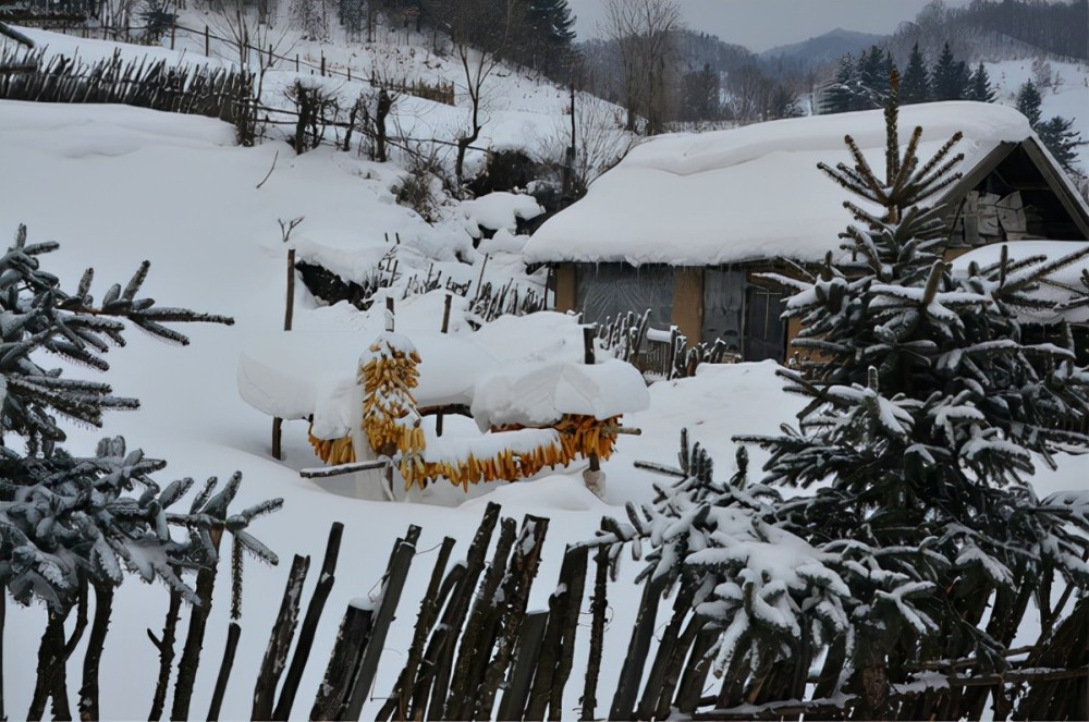 春节前下雪天气怎么样_(春节前下雪天气怎么样了)