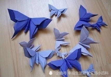 九款蝴蝶的折纸教程,美呆啦～跟宝宝们一起动手折起来吧!