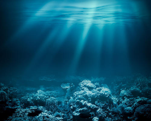 独眼观察员_万米以下的海底是什么样?超越你想象的风光