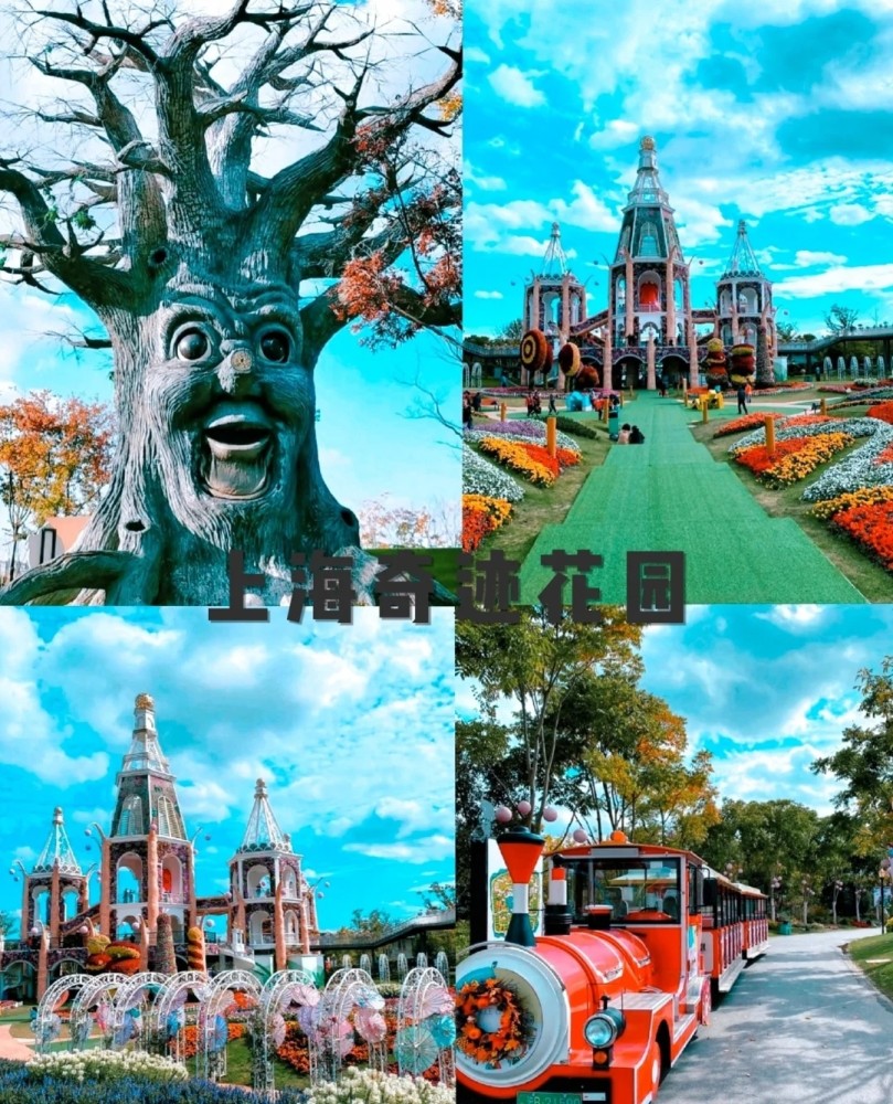 玩转上海:奇迹花园