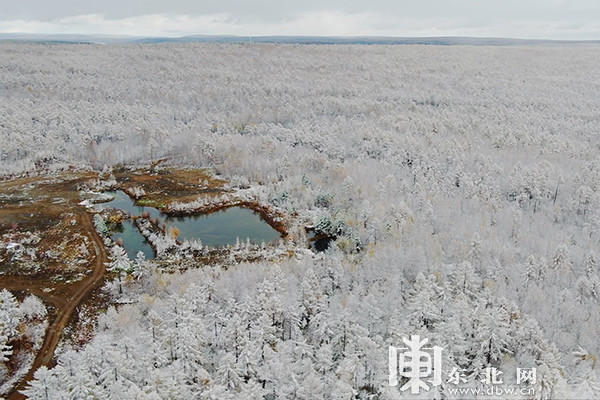 【组图】漠河:九月飞雪 美如童话