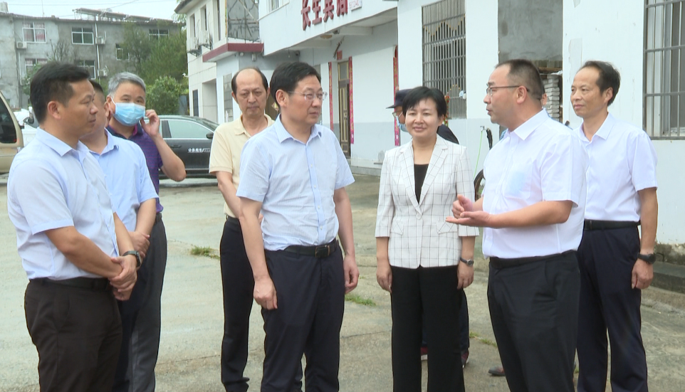 黄冈市委常委,组织部长何飞来罗田县督查安全稳定工作