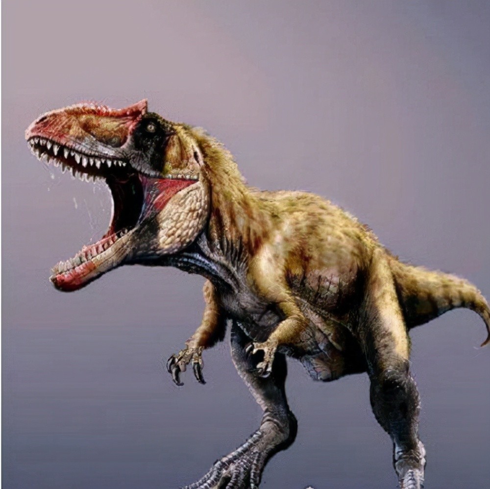 3,异特龙棘龙史上体型最大的食肉恐龙,其体长在20米以上,比起霸王龙要