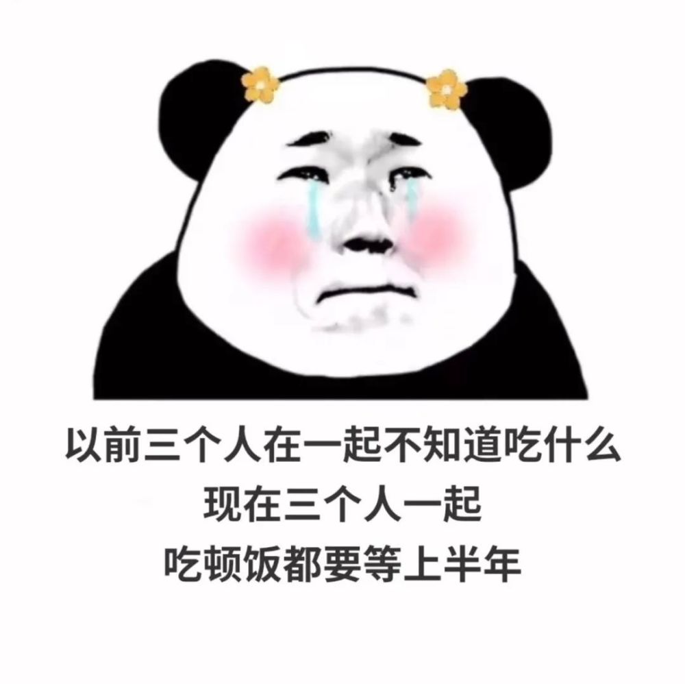 表情包:忙完 记得找我