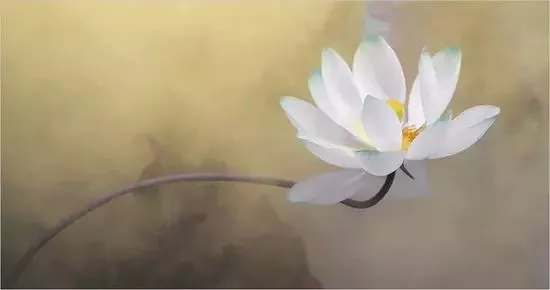 所以这就是为什么我们每天都要静心!