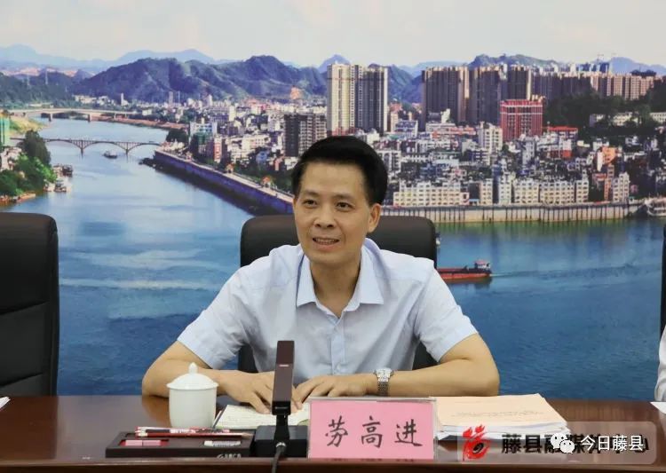 市长钟畅姿参加藤县代表团审议