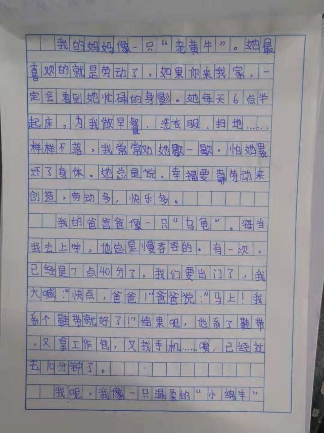 四年级作文《小小动物园》,一节课讲一节课写,看孩子