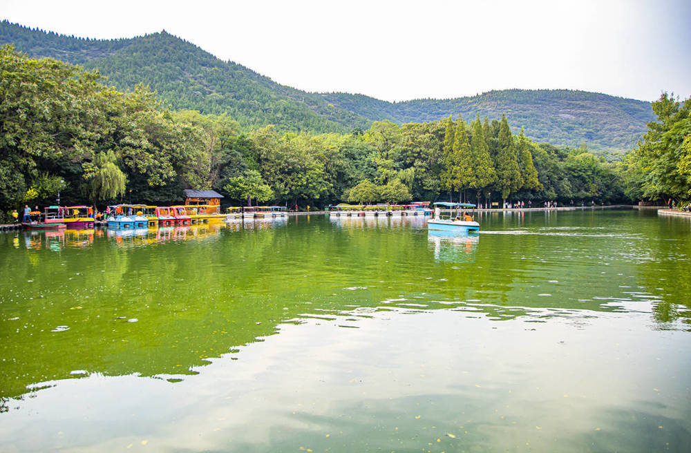 十一长假淮北运河寻梦游之旅这六个宝藏旅游景点全部免费