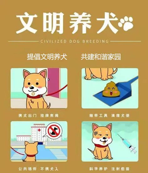 据了解"两须一不"是指养犬须办证,遛犬须规范及养犬不扰民.