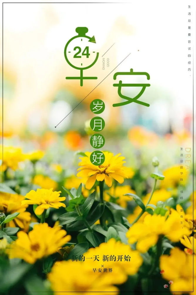 早安正能量阳光精辟简短句子人生感悟心情句子