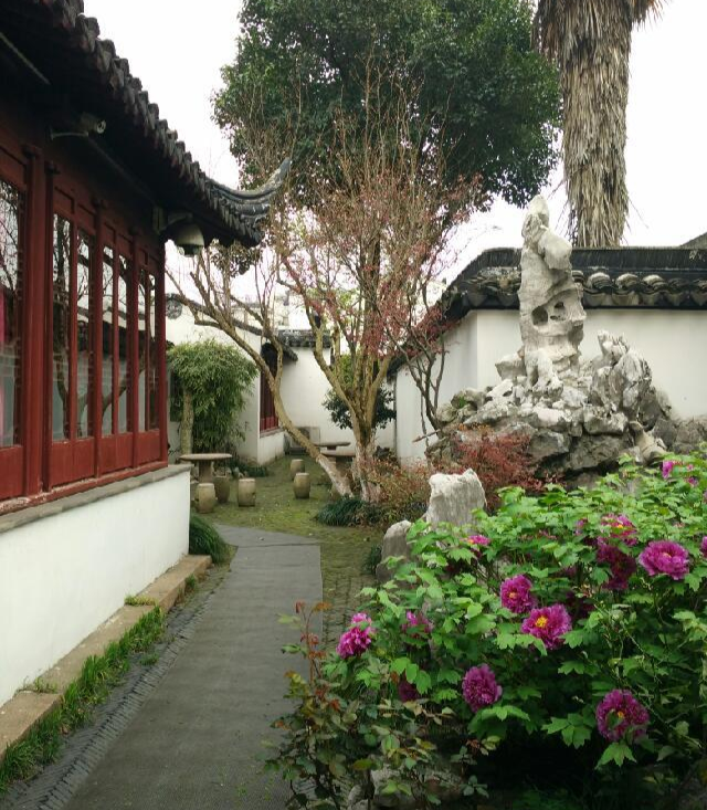 国保巡礼|佳园春常在,余荫风永存,苏州曲园