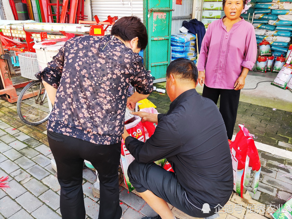 小苗找老总_小苗卡通图片