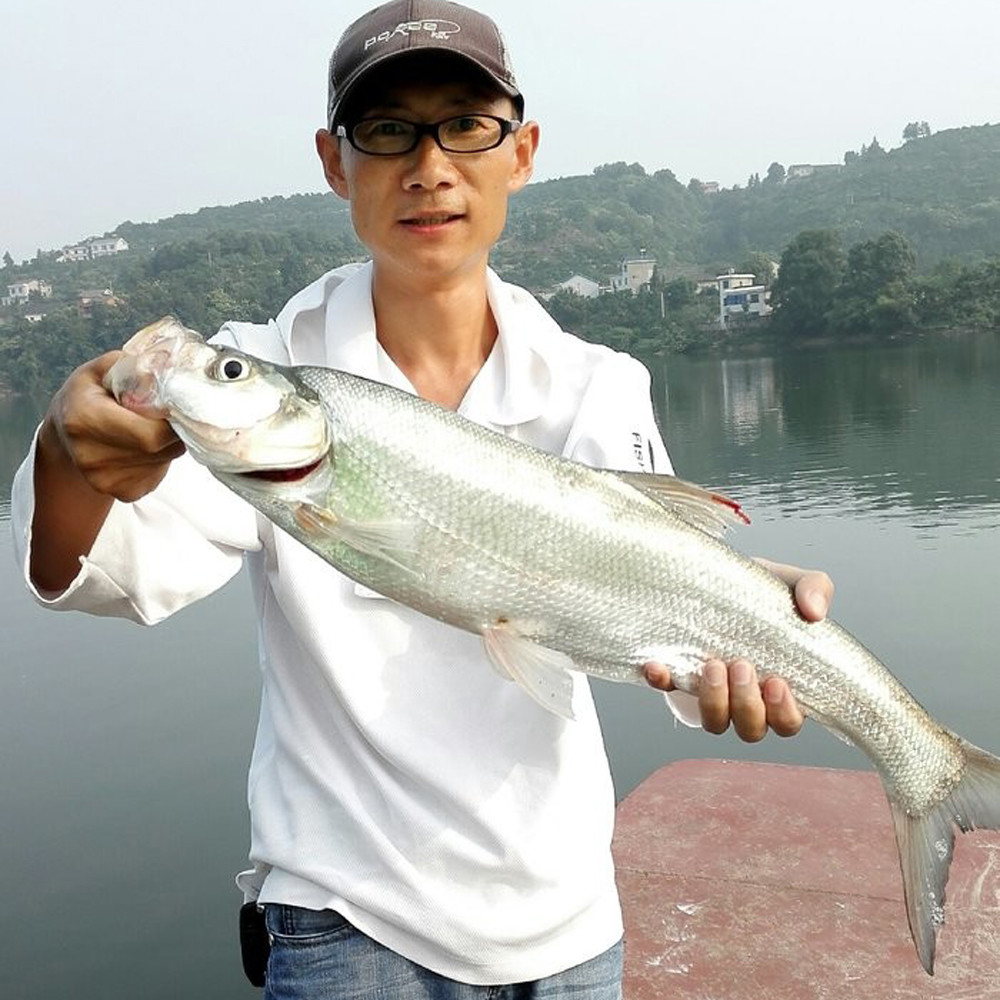 翘嘴鱼最喜欢吃哪种味型的食物?翘嘴鱼的觅食习性和垂钓方法_腾讯新闻