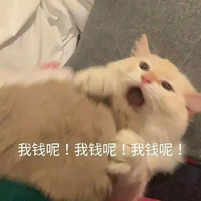 表情包喵星人表情包27张猫表情包400期