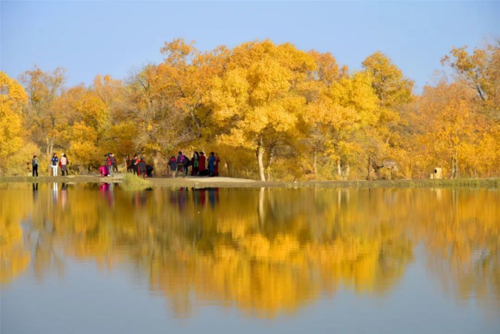 【喜迎国庆】金塔沙漠胡杨林景区祝您节日快乐!