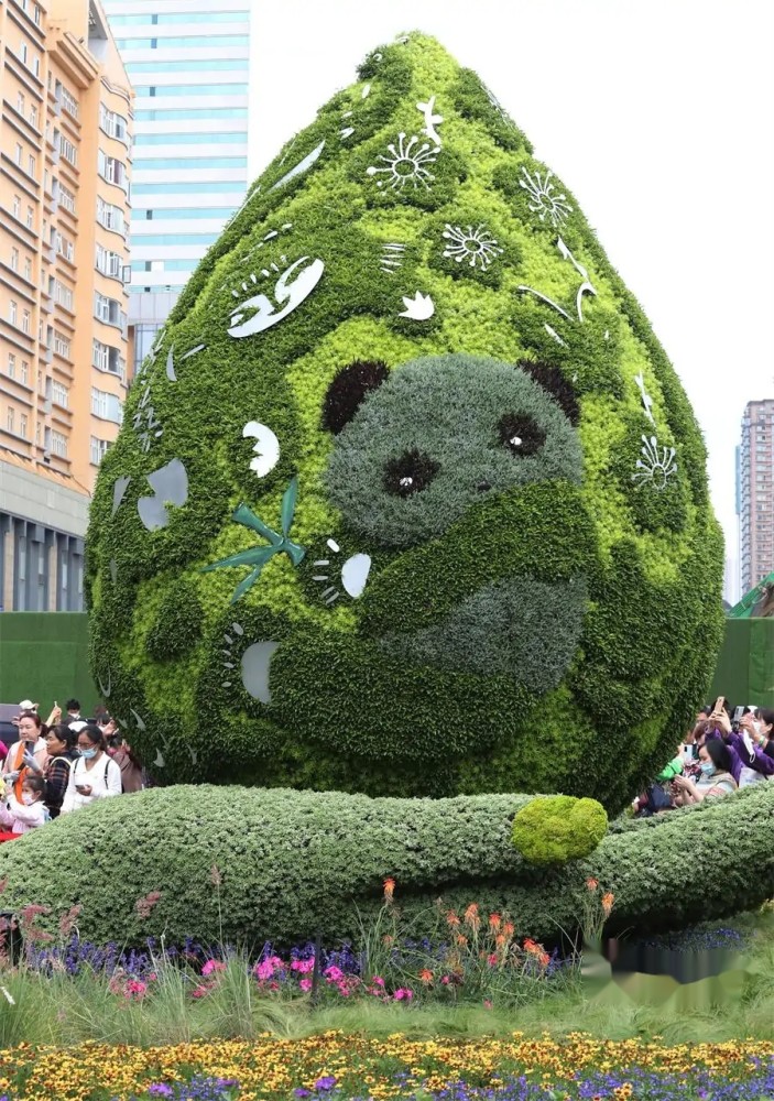 云南昆明花仙子成为热点