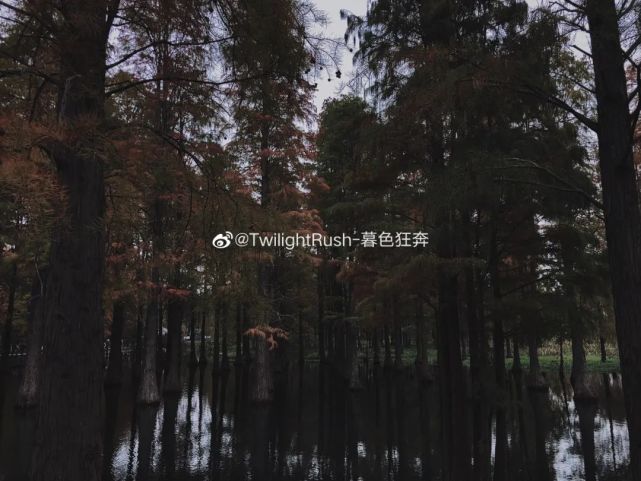 必经的步行路 微博网友@twilightrush-暮色狂奔在小红书被秋天的青西