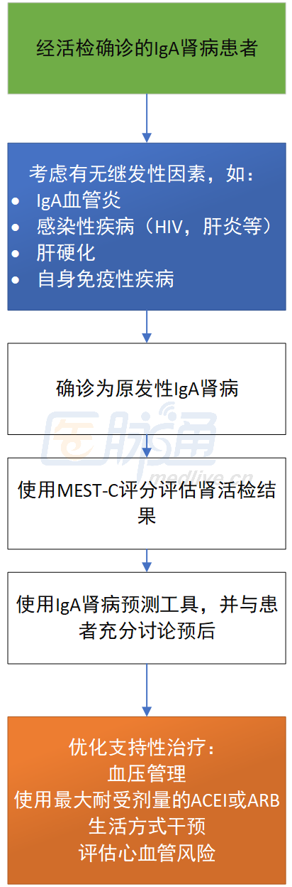 2021kdigo肾小球肾炎指南iga肾病与血管炎