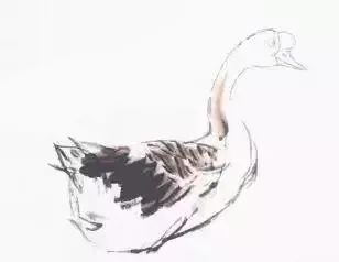 写意鹅的画法