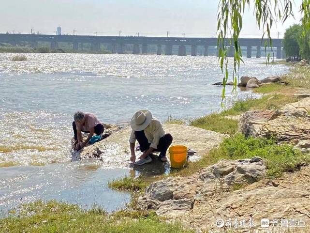 壹图集|泰安大汶河水位上涨,再现"水漫石桥"奇观