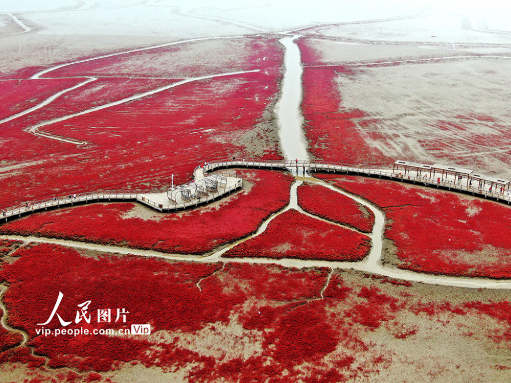 辽宁盘锦红海滩国家风景廊道