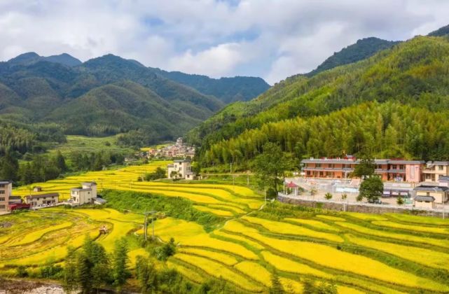 稻花香里说丰年|瑶安乡迎接第四个中国农民丰收节