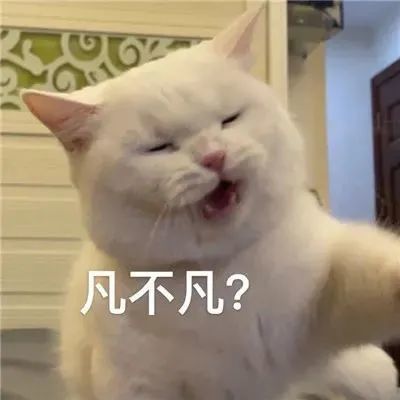 这样月亮和你都蒙在鼓里"委屈巴巴的遗憾文案:好沙雕的表情包方法二:1