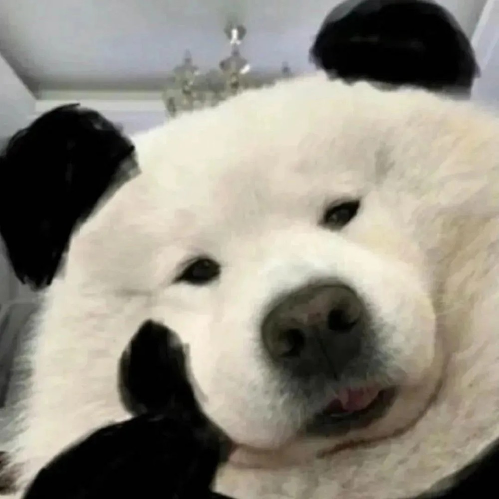 沙雕搞怪头像|可可爱爱 没烦恼