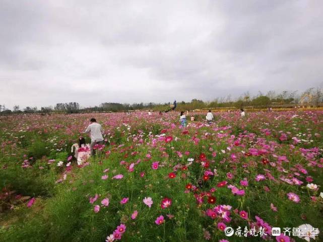 金秋十月盛世华诞东营花仙谷满园欢乐邀您共度国庆佳节