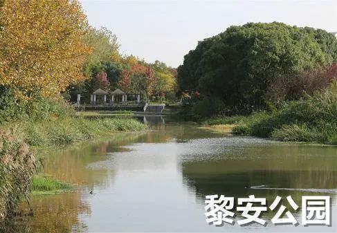 黎安公园闵行区莘庄镇约24公顷运用地带性的特色植物,作为基调树种和