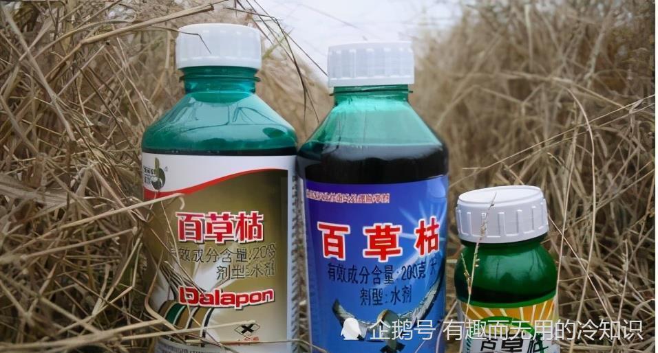 百草枯,被喝禁售的农药!