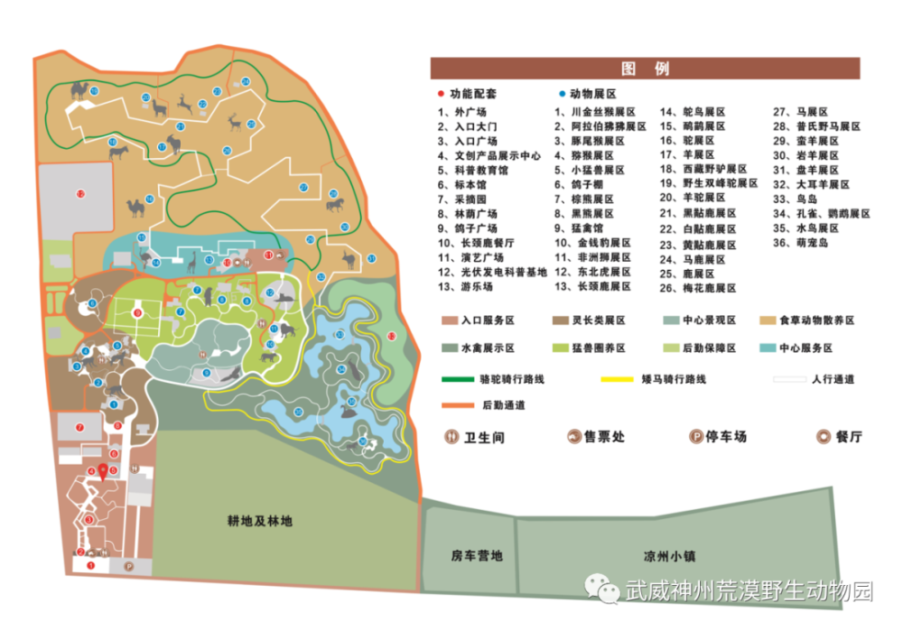 神州荒漠野生动物园北部食草动物散养区全面开放,快来