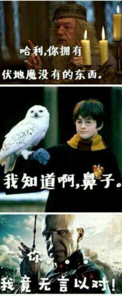 伏地魔还有一些,接住了图片均来自网 ,乔稚 .