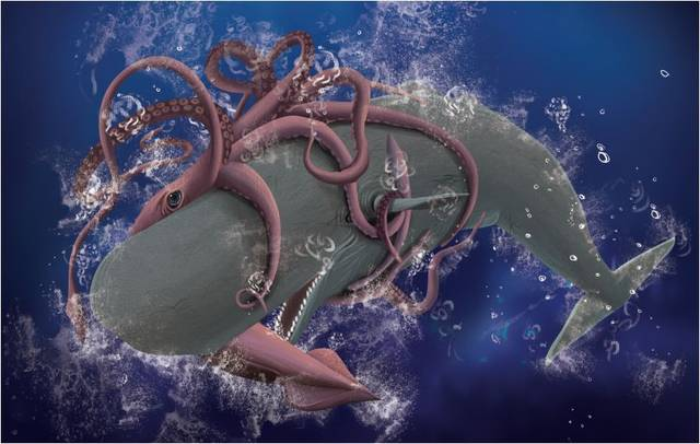 世界上最大的无脊椎动物是大王酸浆鱿|大王酸浆鱿|脊椎动物|大王乌贼